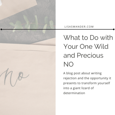What to Do with Your One Wild and Precious NO